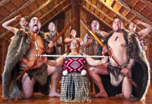 Gap in Kiwis’ knowledge of country’s history?