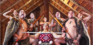 Gap in Kiwis’ knowledge of country’s history?
