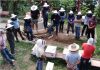 Beekeeping: Challenges and rewards for migrant workers