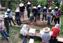 Beekeeping: Challenges and rewards for migrant workers