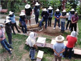 Beekeeping: Challenges and rewards for migrant workers