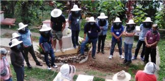 Beekeeping: Challenges and rewards for migrant workers