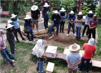 Beekeeping: Challenges and rewards for migrant workers