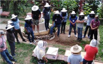 Beekeeping: Challenges and rewards for migrant workers