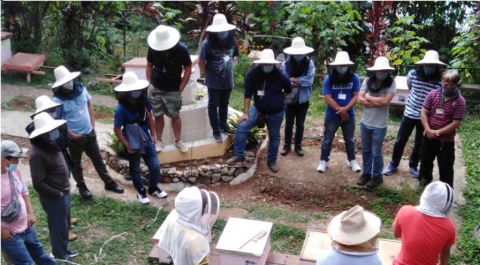 Beekeeping: Challenges and rewards for migrant workers