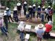 Beekeeping: Challenges and rewards for migrant workers