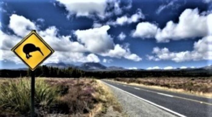 Citizenship pathway opens for Kiwis living in Australia