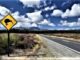 Citizenship pathway opens for Kiwis living in Australia