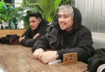 Get ready for the return of OPM superstars to NZ, predicts December Avenue