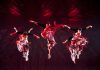 Auckland Asia Festival returns as NZ’s largest 2-Day Asian Celebration