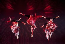 Auckland Asia Festival returns as NZ’s largest 2-Day Asian Celebration
