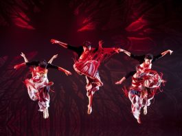 Auckland Asia Festival returns as NZ’s largest 2-Day Asian Celebration