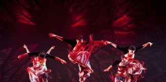 Auckland Asia Festival returns as NZ’s largest 2-Day Asian Celebration