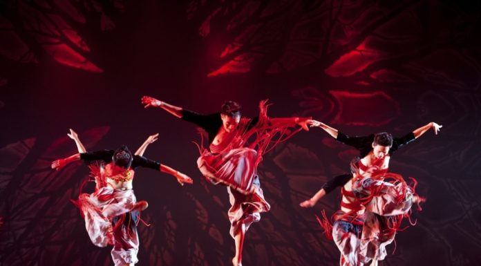 Auckland Asia Festival returns as NZ’s largest 2-Day Asian Celebration