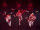 Auckland Asia Festival returns as NZ’s largest 2-Day Asian Celebration