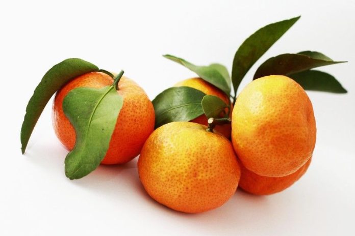 dreamstime_s_12745981 new year fruits